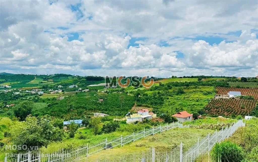 Bán đất ấp 5, nhánh đường QL20 Huyện Định Quán, Đồng Nai – giá 595 triệu - ảnh 1